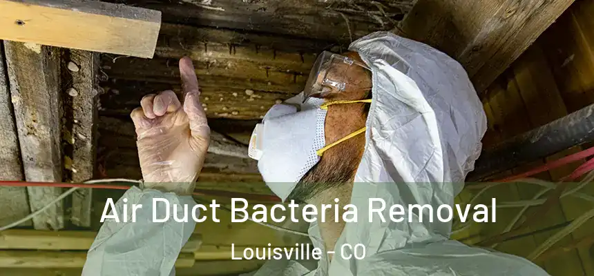  Air Duct Bacteria Removal Louisville - CO