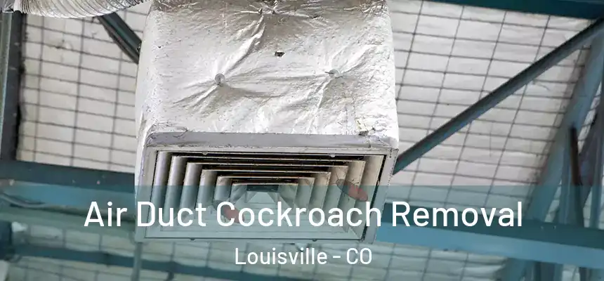  Air Duct Cockroach Removal Louisville - CO