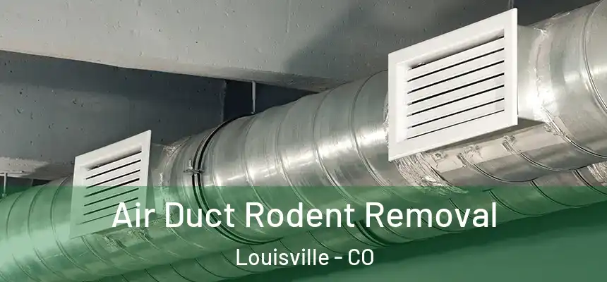  Air Duct Rodent Removal Louisville - CO
