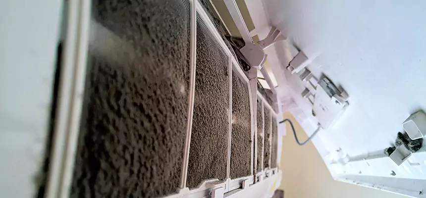 Preventive Air Duct Bacteria Removal in Louisville