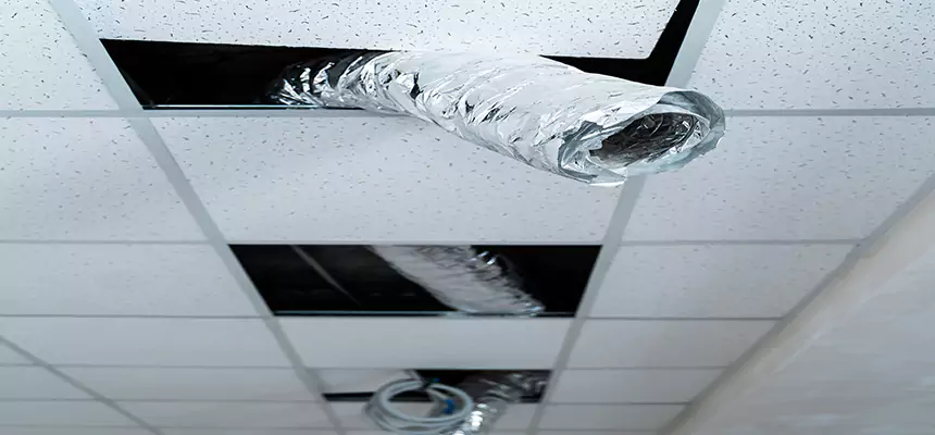 Our Air Duct Pet Hair Removal Services in Louisville, CO