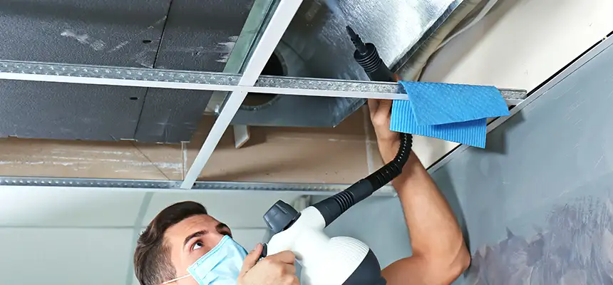 Our Air Duct Rodent Removal Services in Louisville, CO