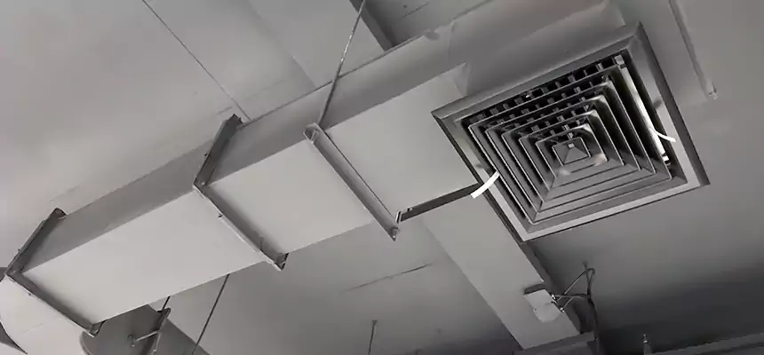 Restorative Allergy Relief Vent Cleaning – Coil, Blower & Housing Detail in Louisville