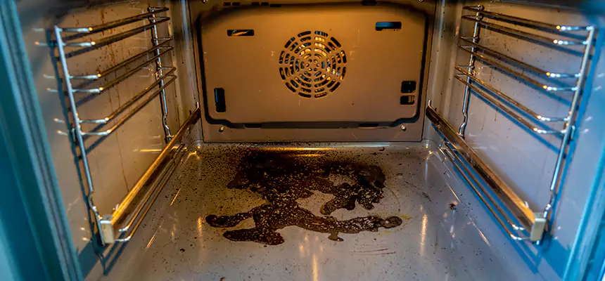 Our Dryer Vent Mold Cleaning Services in Louisville, CO