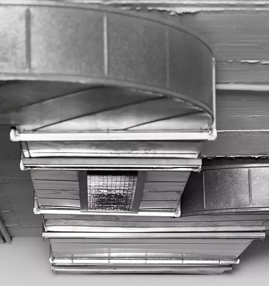 Professional Air Duct Pet Hair Removal in Louisville, CO