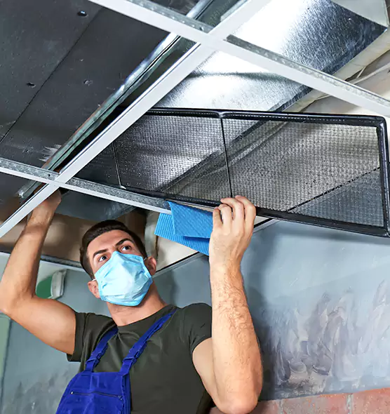 Professional Air Duct Pollen Cleaning in Louisville, CO