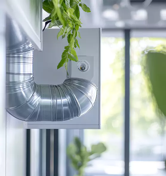 Professional Eco-Safe Dryer Vent Cleaning in Louisville, CO