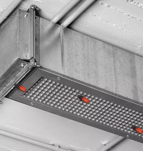 Affordable Insect Removal from Air Ducts in Louisville, CO
