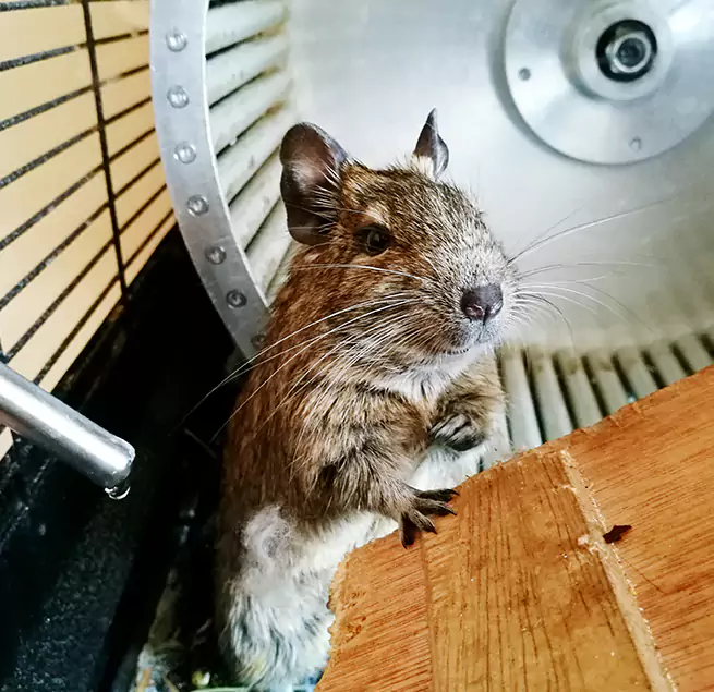 Why Homeowners & Businesses Trust Us Louisville, CO?