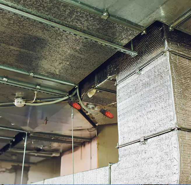 Why Homeowners & Businesses Trust Us Louisville, CO?